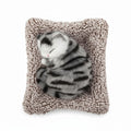 Sleeping Kitten Plush Toy – Cute Cozy Soft Toy